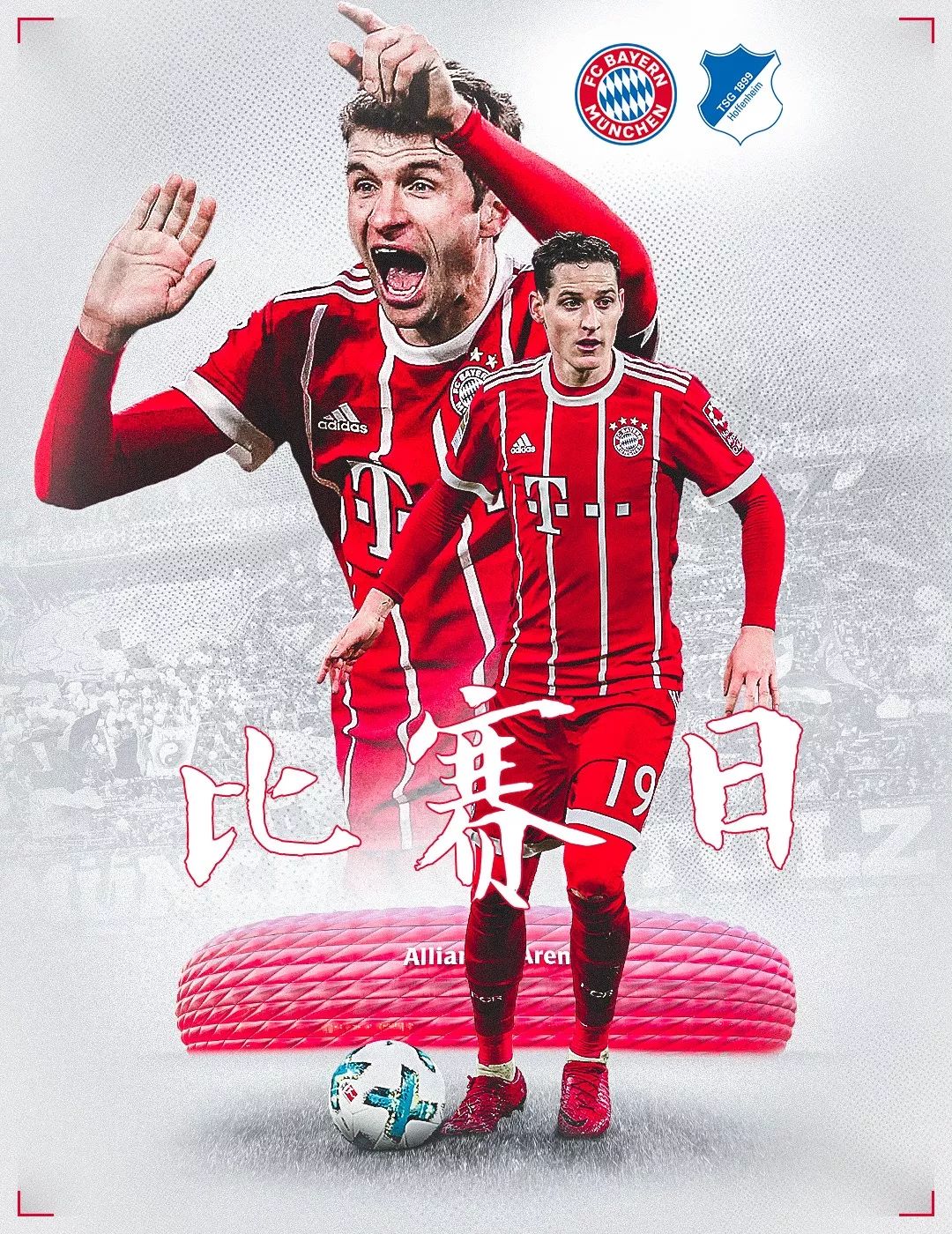 不仅
